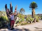 Herb in the Balboa Park Desert Garden