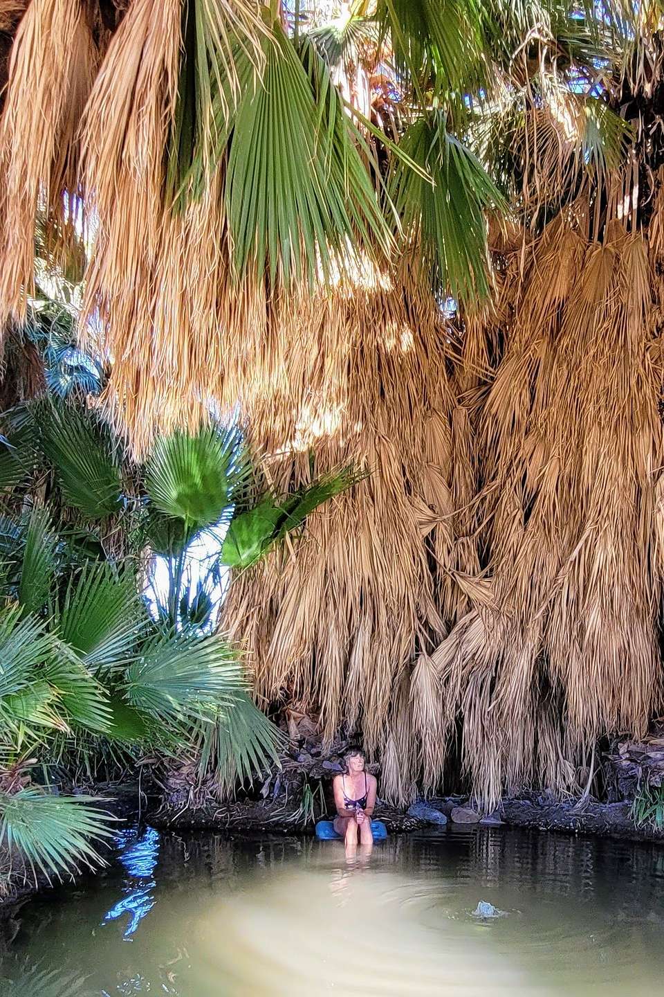 Lolo enjoying Five Palms Hot Spring