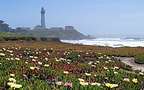 Pigeon Point Lighthouse