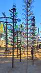 Bottle Tree Ranch