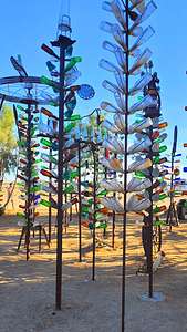 Bottle Tree Ranch