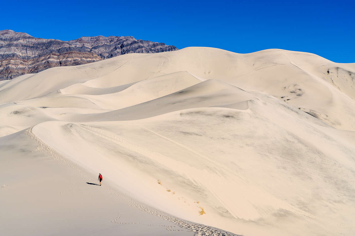 Ascending the Eureka Dunes