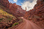 Along the Onion Creek Road