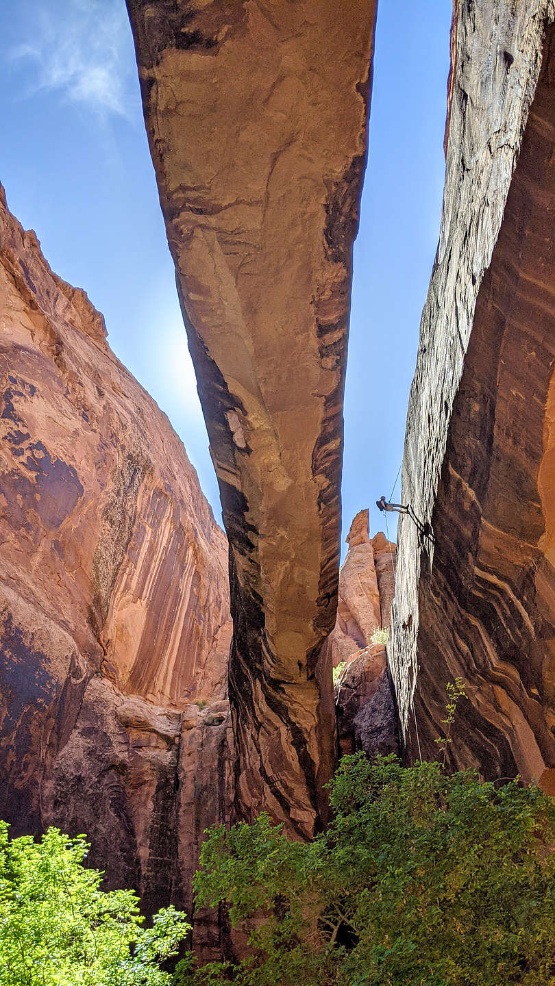 Rappeller descending from top of Morning Glory Natural Bridge Rappeller descending from top of Morning Glory Natural Bridge