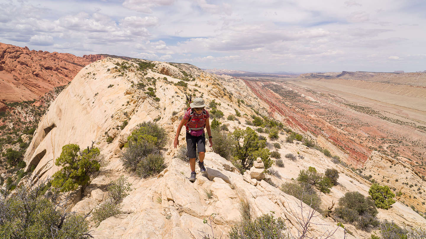 Along the ridge of the Waterpocket Fold