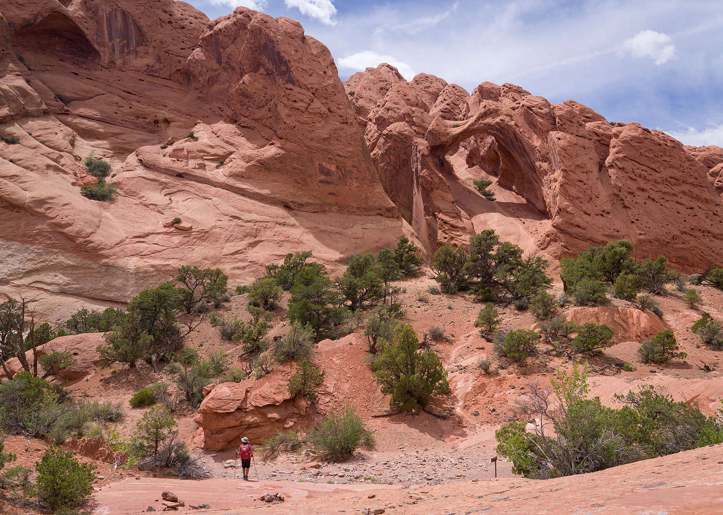 Back down in the Canyon along the Upper Muley Twist hike