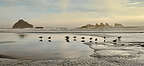 Bandon Beach during sunset