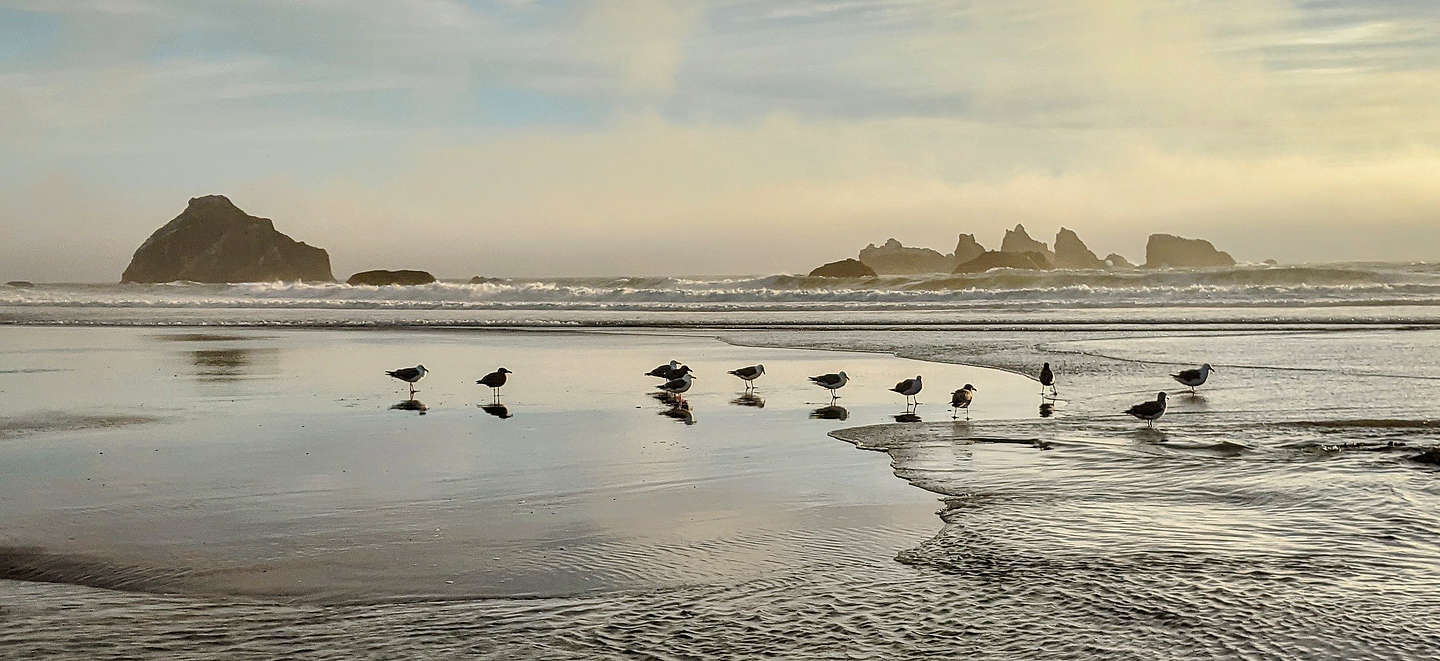 Bandon Beach during sunset