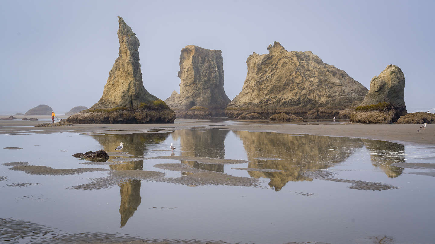 Bandon Beach Night 2