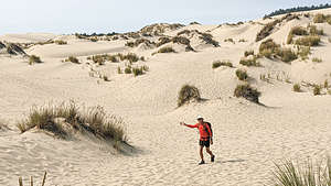 John Dellenback Trail along the Umpqua Dunes