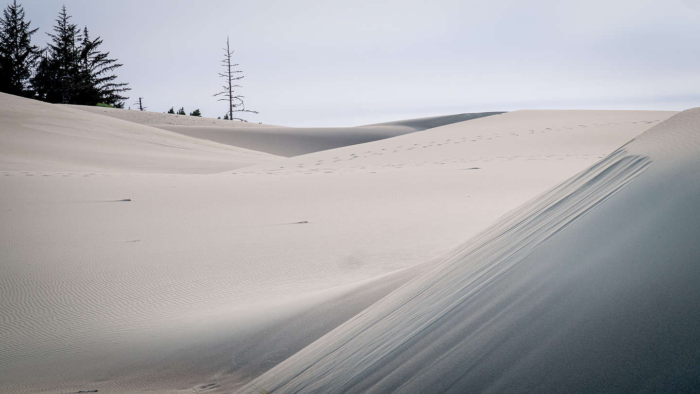 Umpqua Dunes Umpqua Dunes
