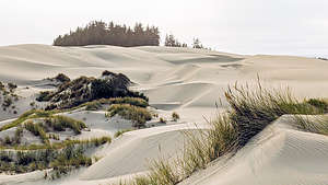 Umpqua Dunes along the John Dellenback Trail