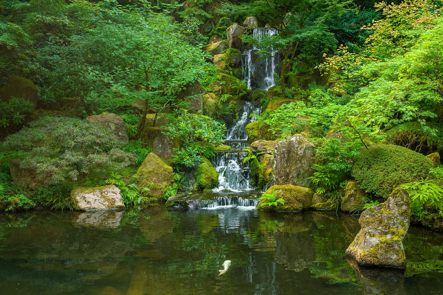 Japanese Garden Japanese Garden