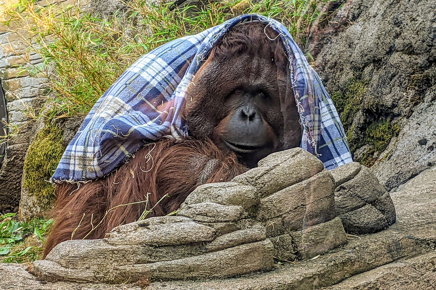 Portland Zoo Portland Zoo