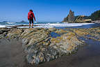 Rialto Beach