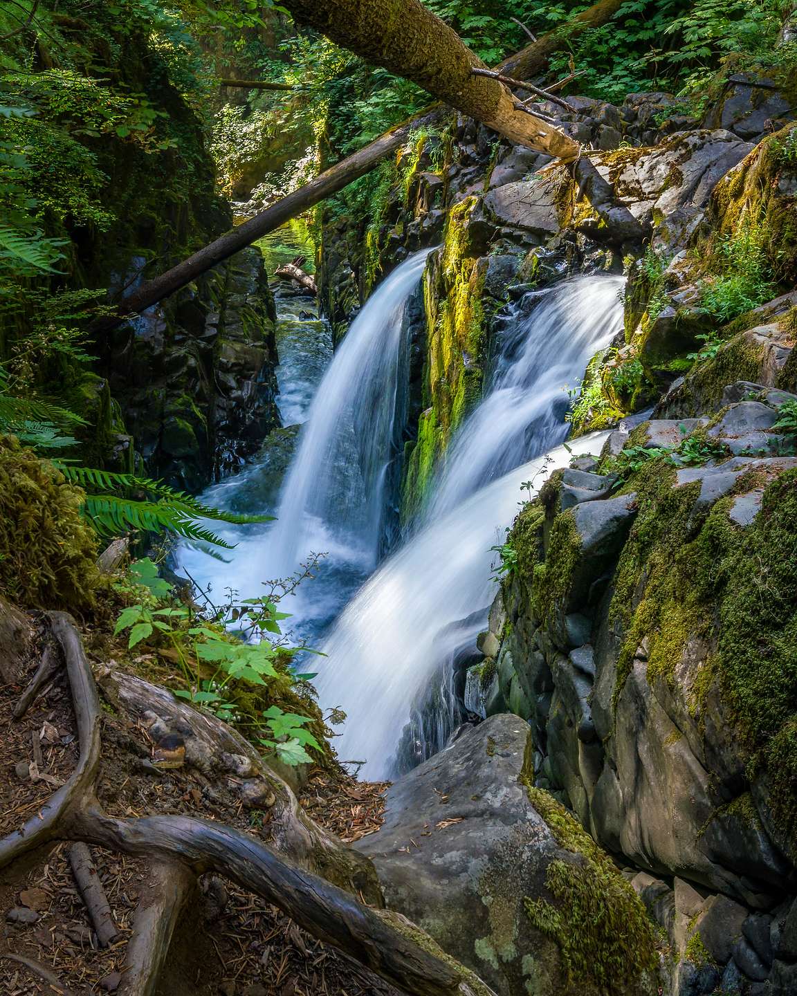 Sol Duc Falls Sol Duc Falls