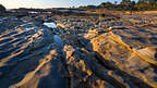 Weston Beach - Point Lobos