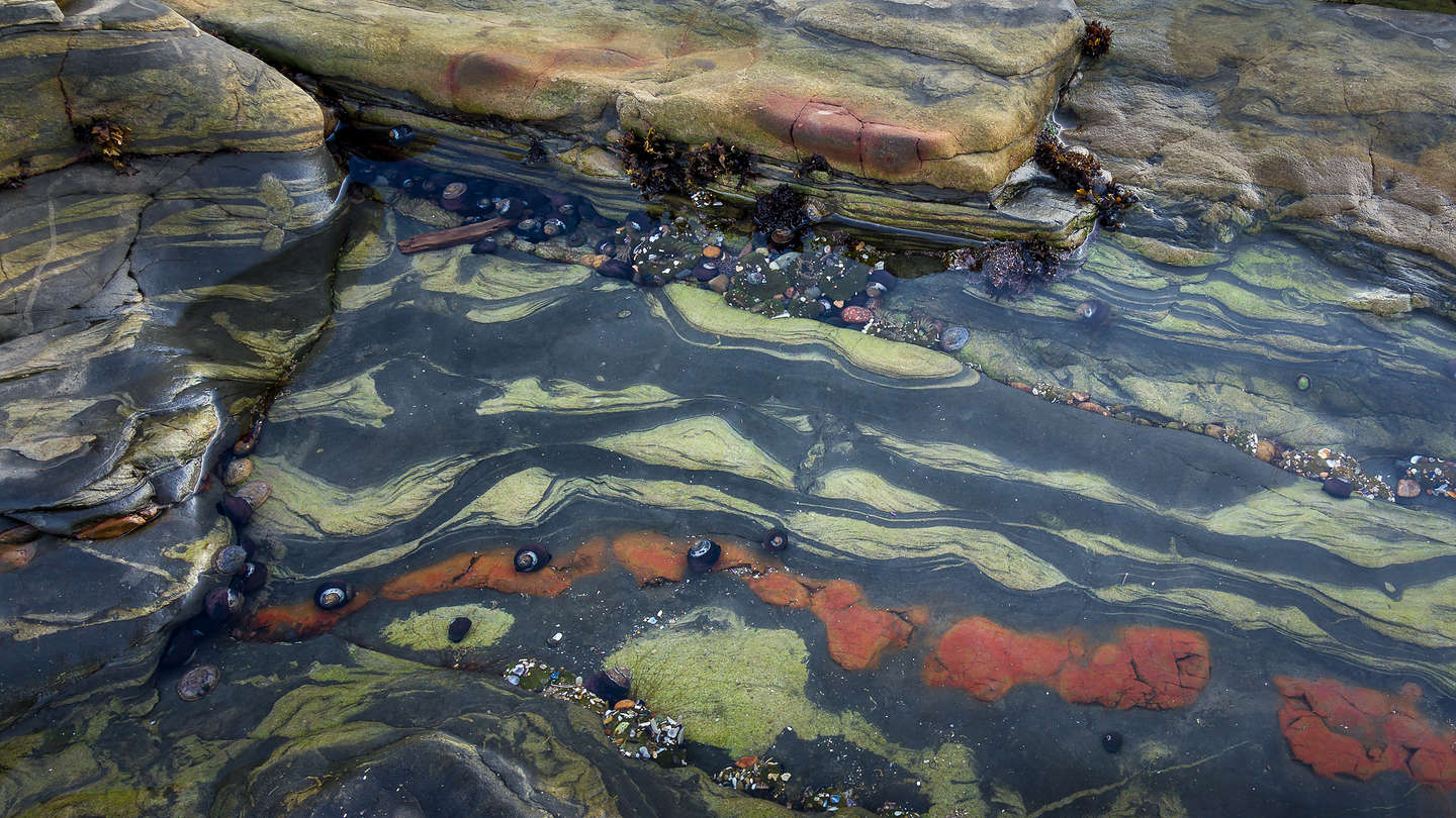 Weston Beach - Point Lobos