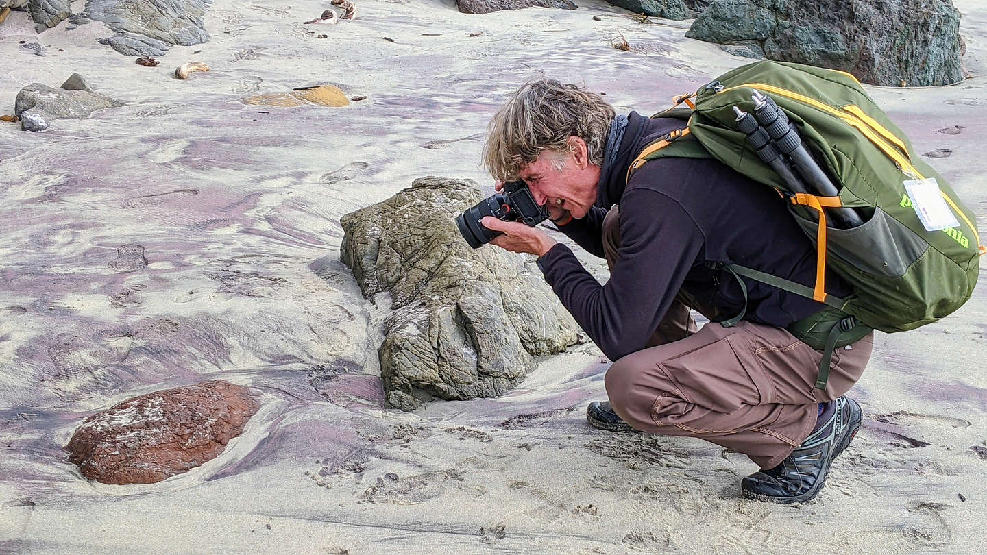 Herb stalking purple sand on Pfeiffer Beah Herb stalking purple sand on Pfeiffer Beah