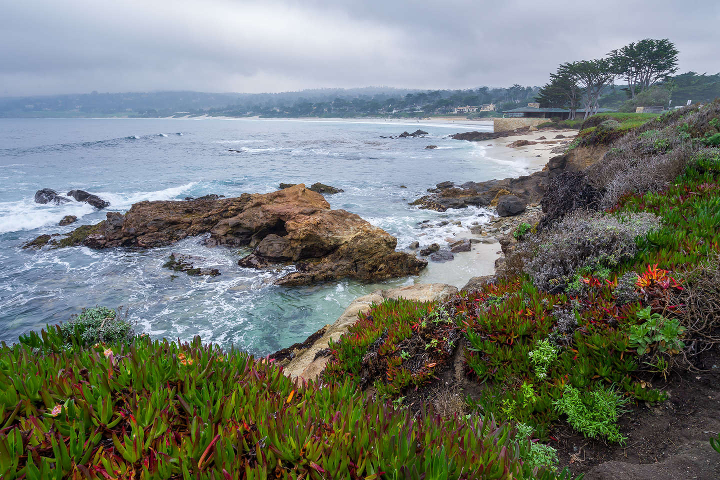 Along Carmel's Scenic Bluff Path Along Carmel's Scenic Bluff Path