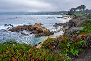 Along Carmel's Scenic Bluff Path