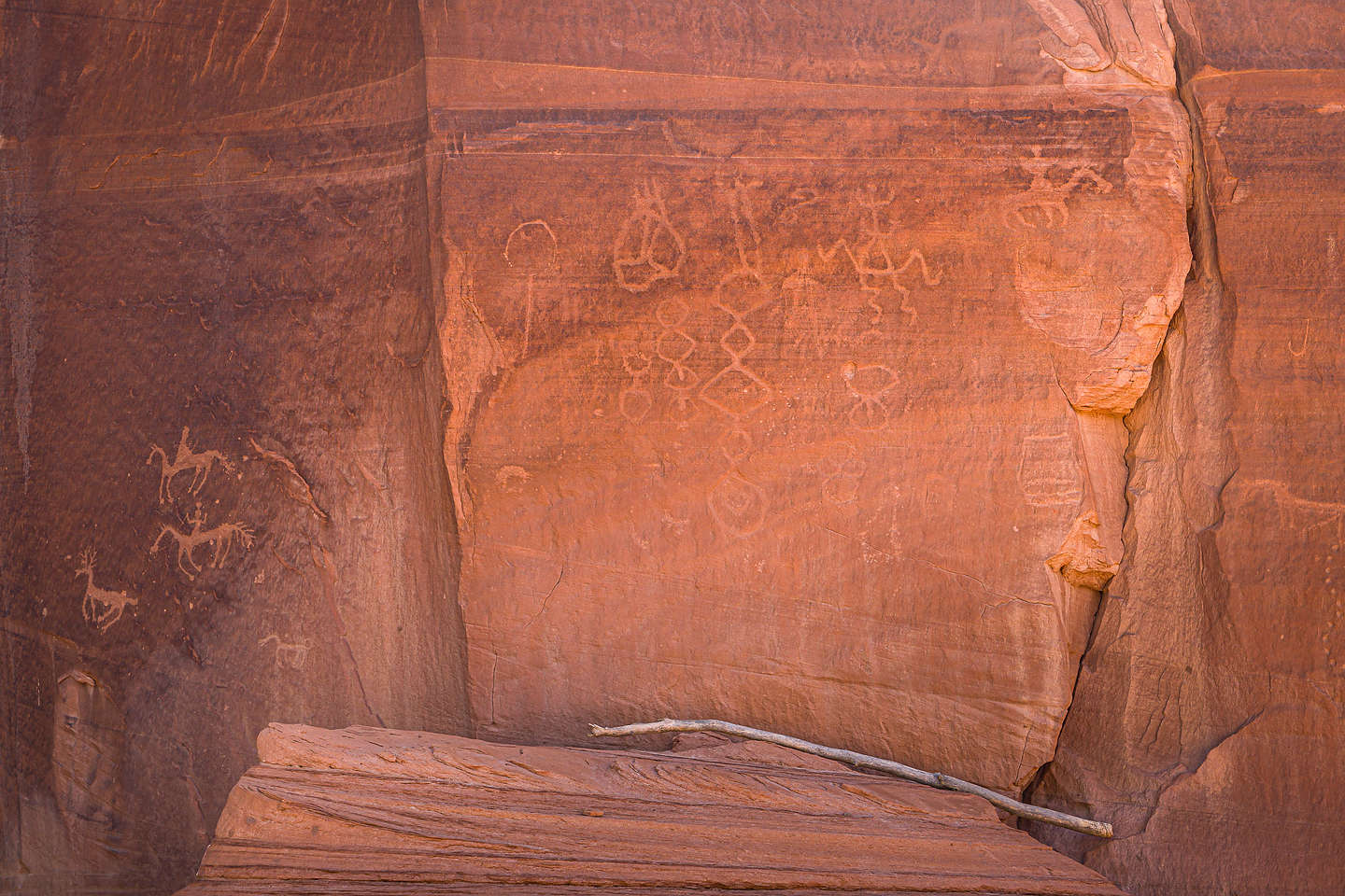 Petroglyph with horses Petroglyph with horses