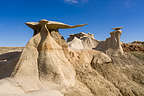 North Bisti Badlands