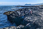 Rocky volcanic shoreline