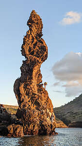 Volcanic Tower with Opuntia cactus