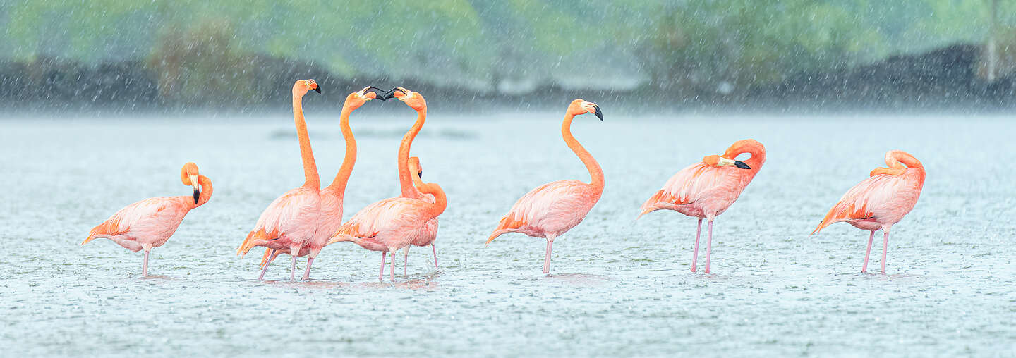Dancing in the rain Dancing in the rain