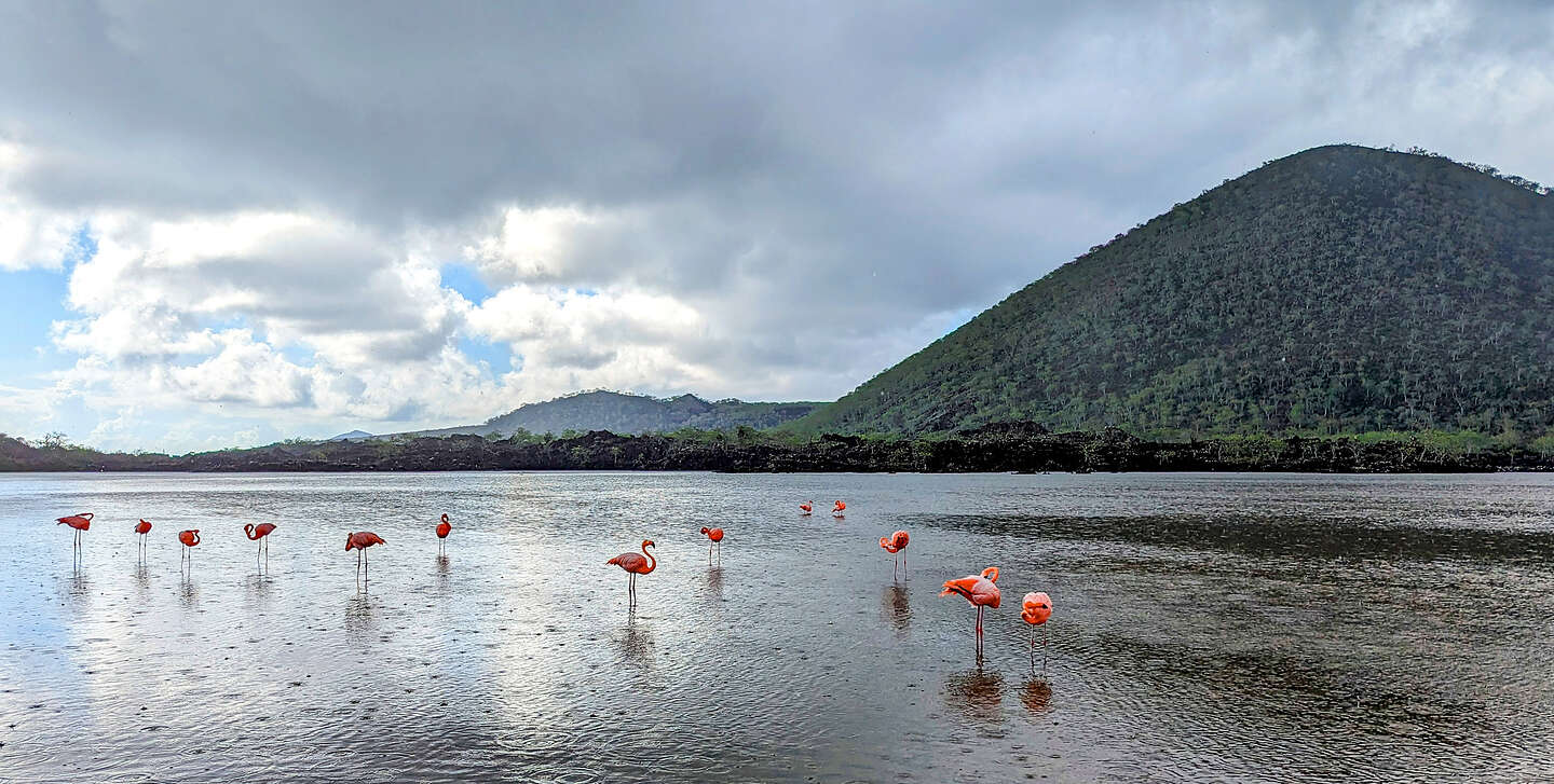 Back to the Salt Lagoon Back to the Salt Lagoon