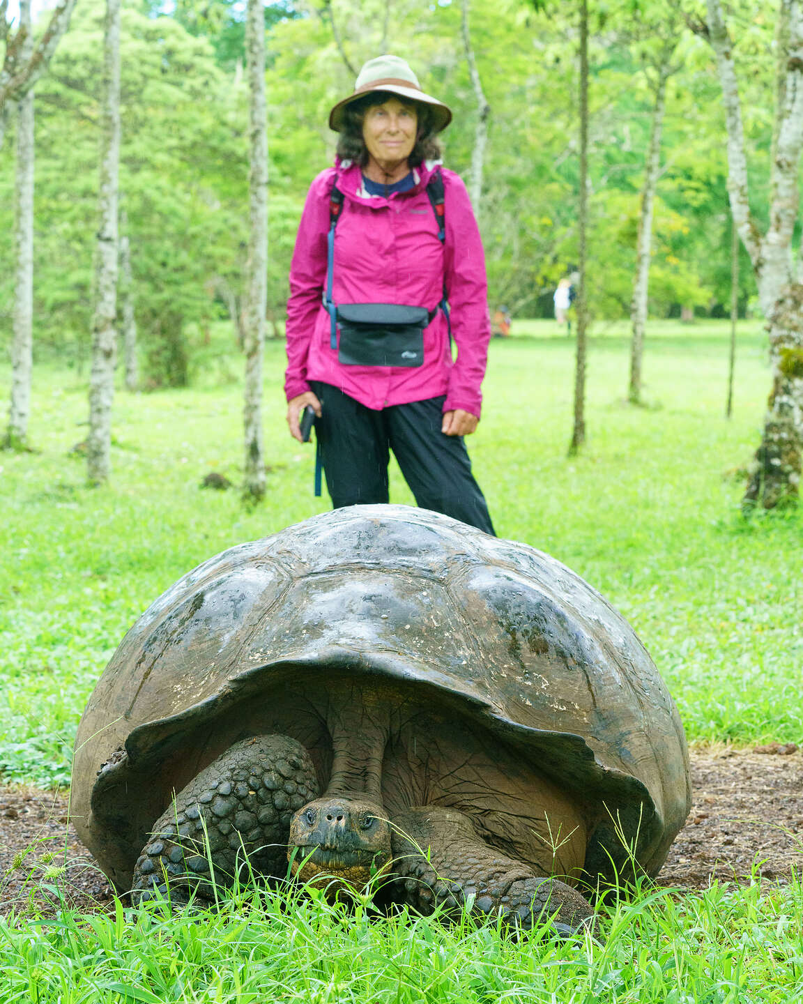 Rancho Primicias Giant Tortoise Reserve Rancho Primicias Giant Tortoise Reserve