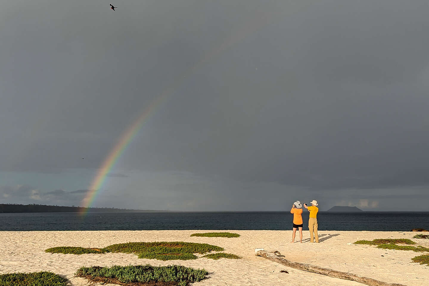 Well-timed rainbow Well-timed rainbow