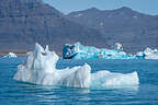 Jökulsárlón Glacier Lagoon