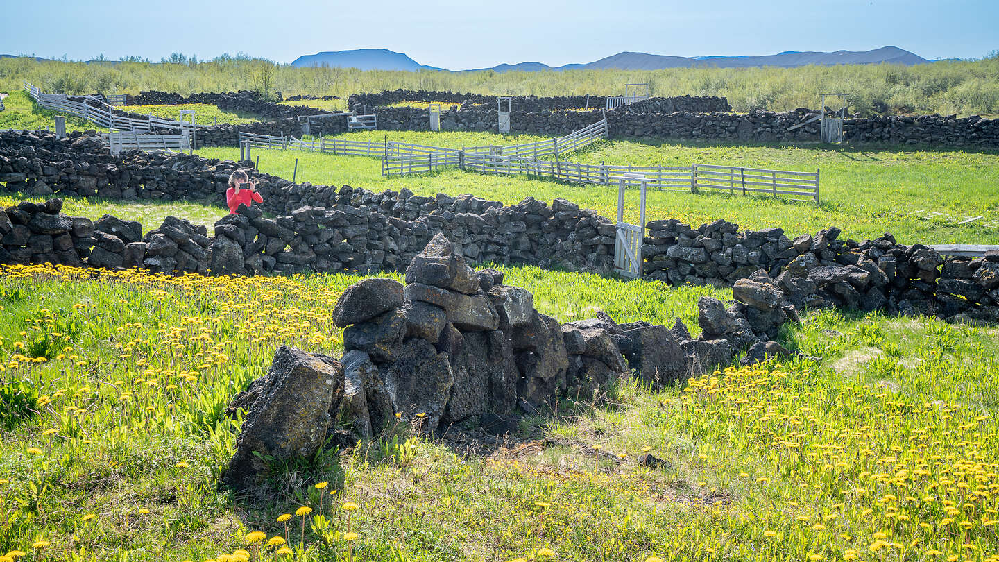 An 1880s Sheepfold An 1880s Sheepfold