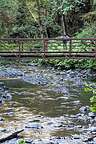 Bridge to Marymere Falls