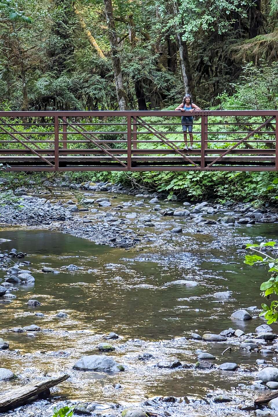 Bridge to Marymere Falls Bridge to Marymere Falls