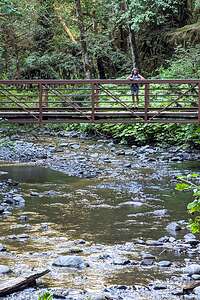 Bridge to Marymere Falls