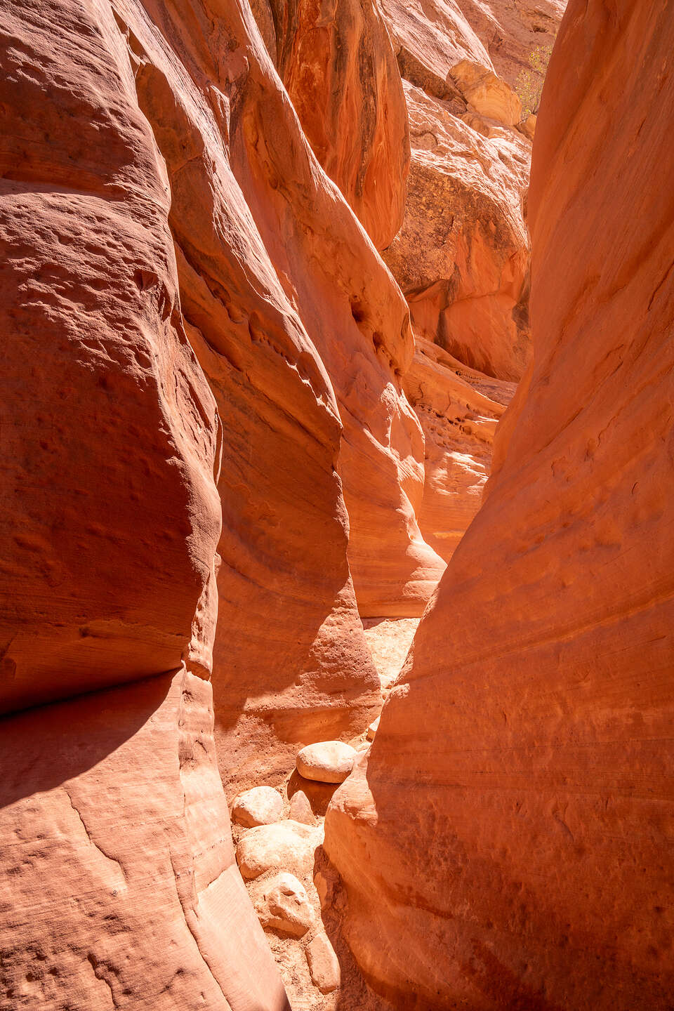 Little Wild Horse Slot Canyon