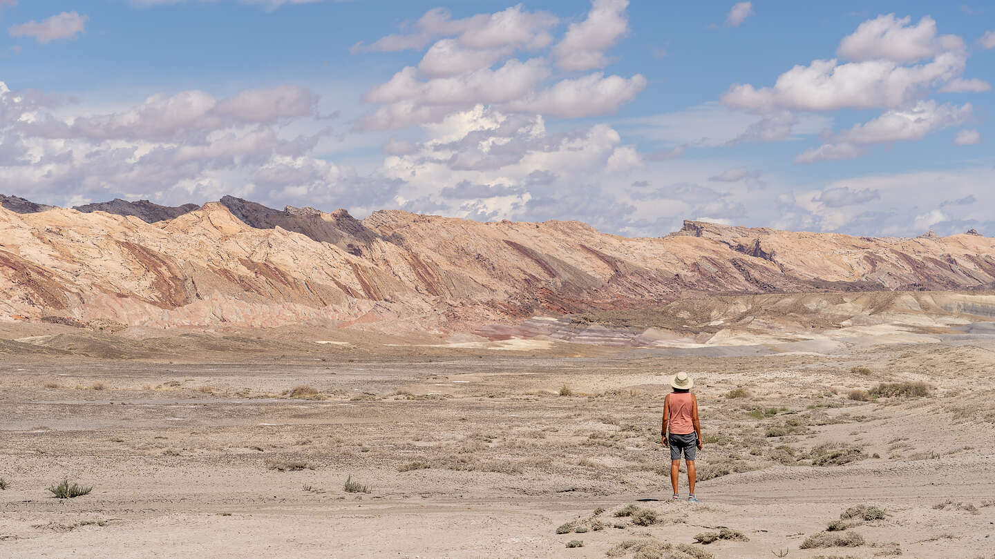 Along the drive around Factory Butte