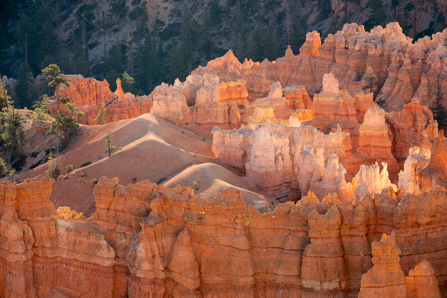 Sunrise from Inspiration Point