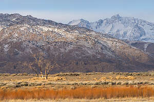 Along the Bishop Canal at sunrise