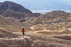 Along the Badlands Loop