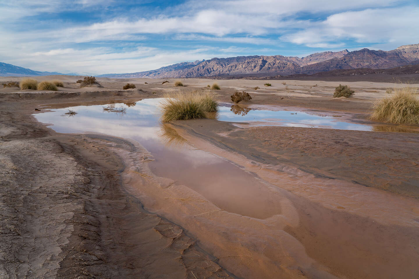 Ephemeral Pond by Mesequite Dunes Ephemeral Pond by Mesequite Dunes