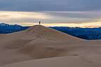 Lolo of the dunes