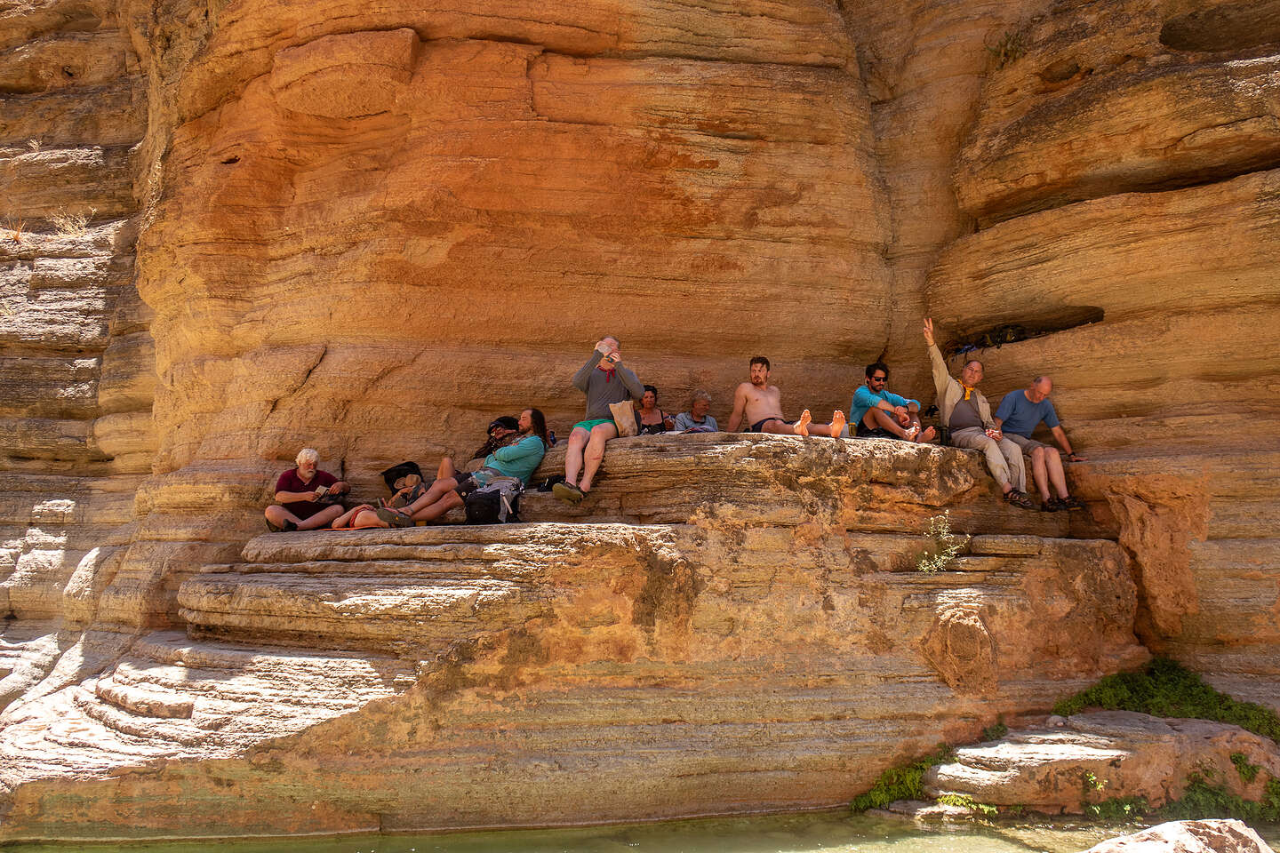 Hanging out on the ledges Hanging out on the ledges