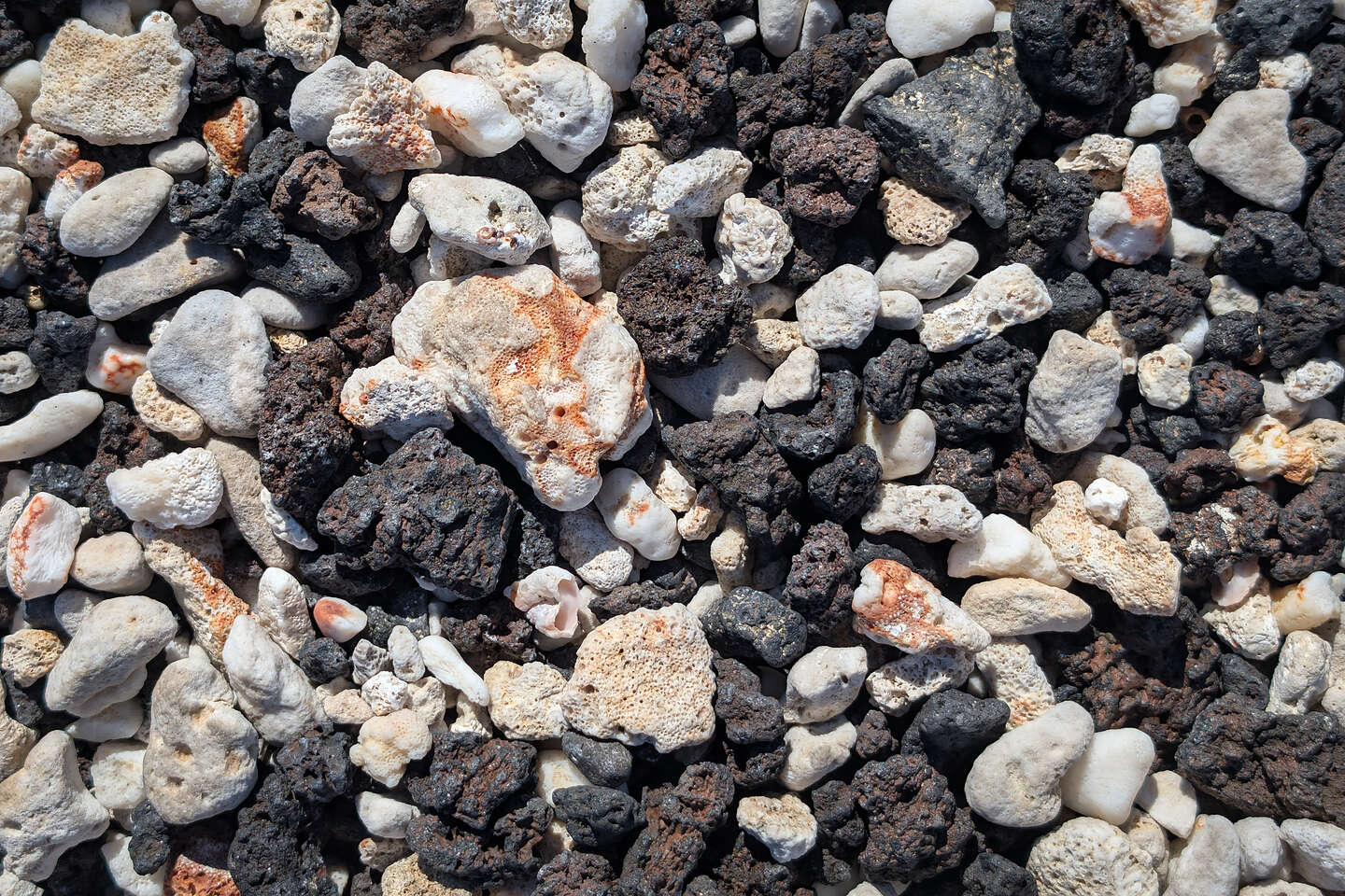 Lava and coral Lava and coral