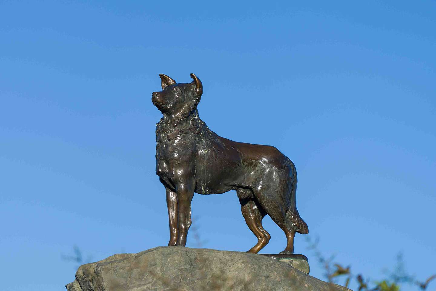 The Sheep Dog Memorial The Sheep Dog Memorial