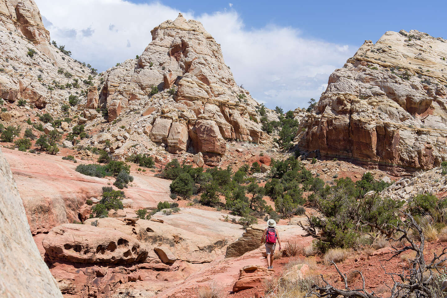 Along the Navajo Knobs Trail Along the Navajo Knobs Trail