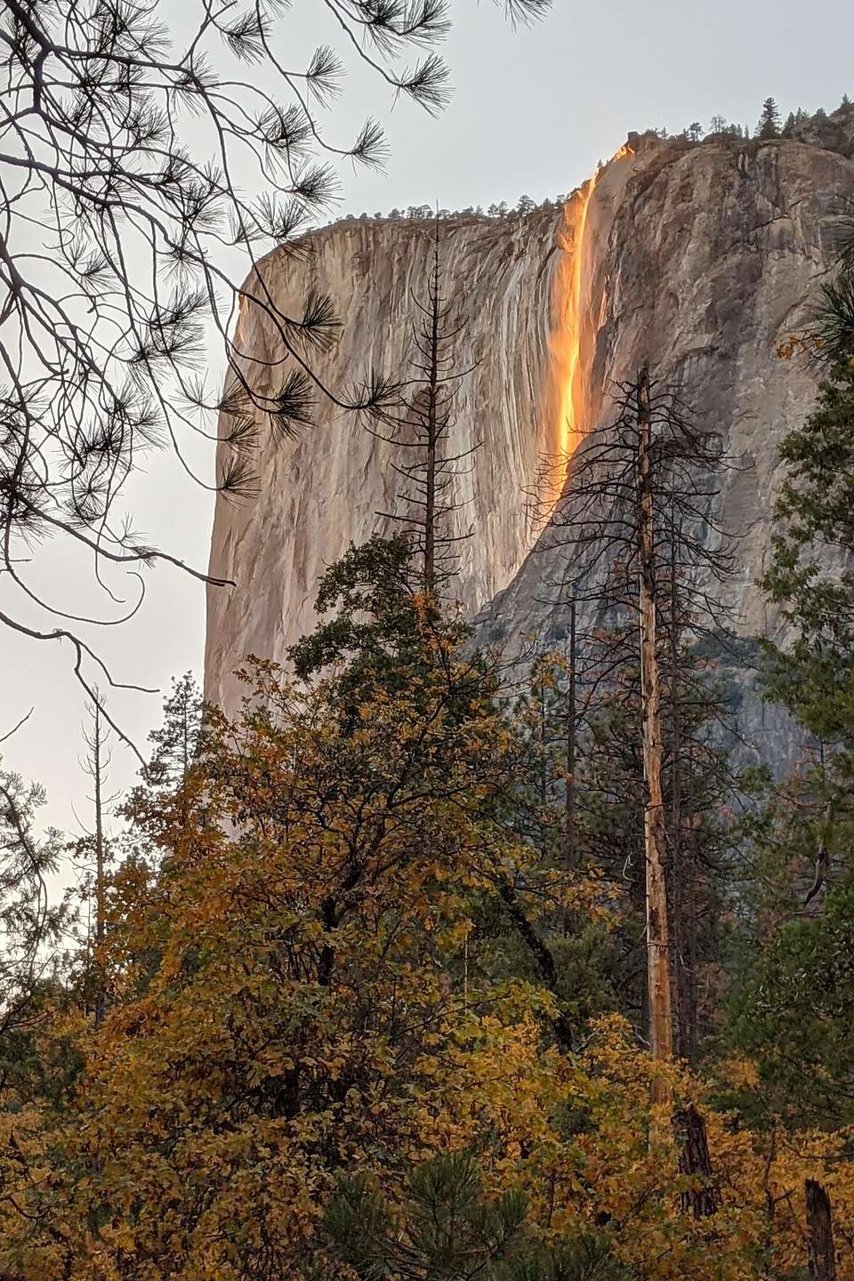 October Firefall progresses to a fiery red October Firefall progresses to a fiery red